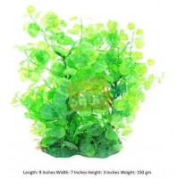 Aqueon Begonia Wide Medium